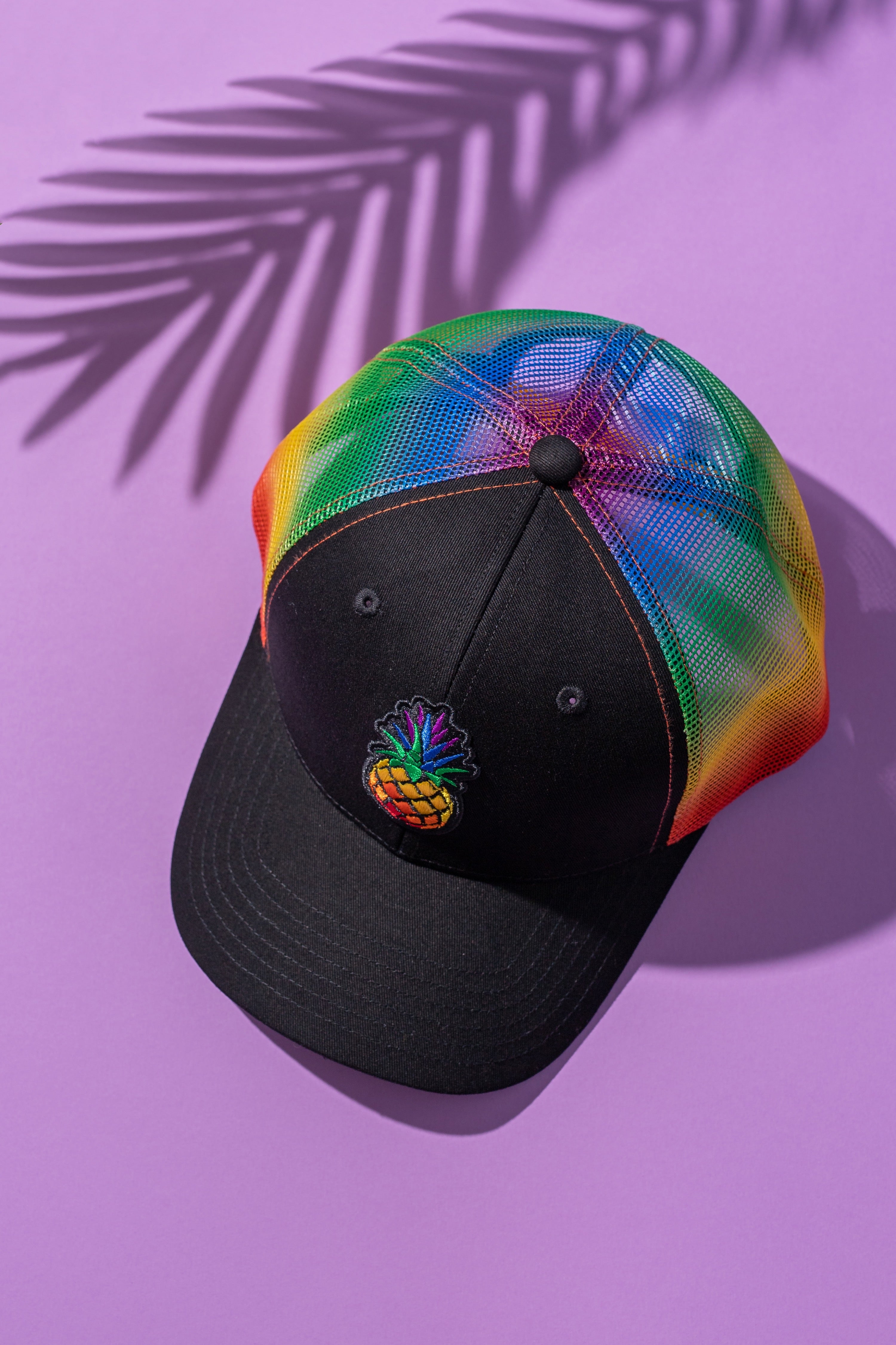 Trendy Pineapple Rainbow Mesh Curv