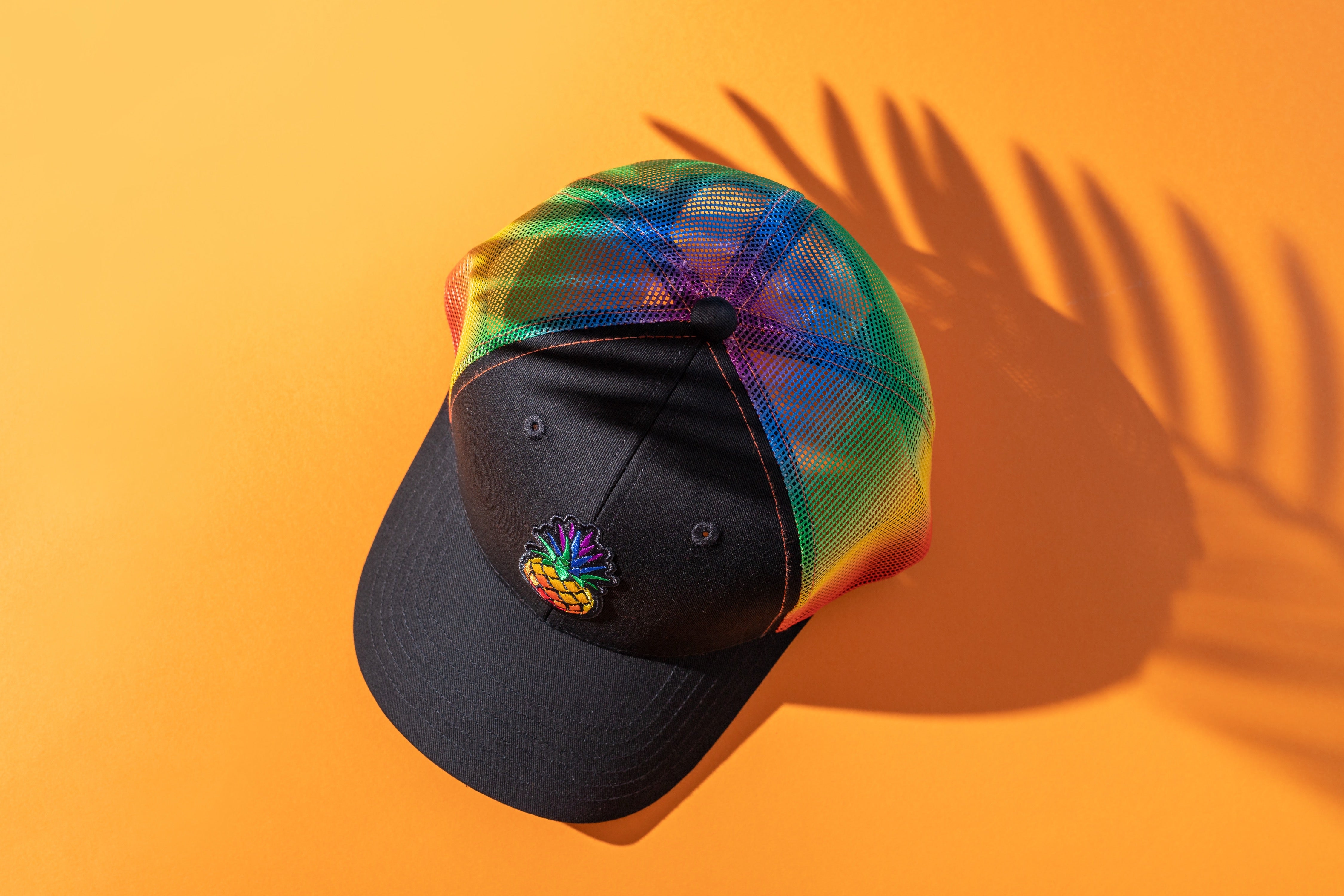 Trendy Pineapple Rainbow Mesh Curv